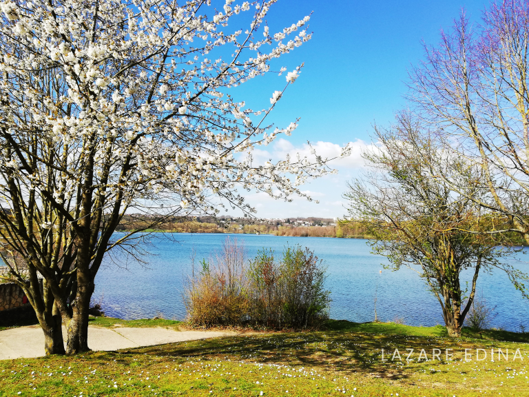 Parc de Cergy 95-2019